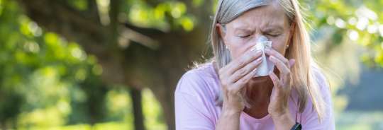 Seasonal Allergy “Off Switch” Discovered in the GUT